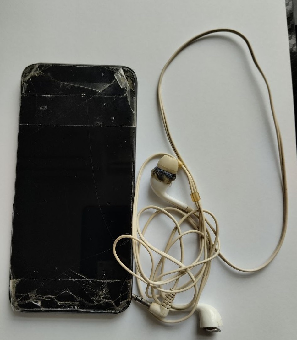 Мобильный терминал, наушники